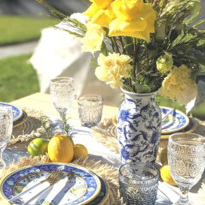 The Picnic Party Package